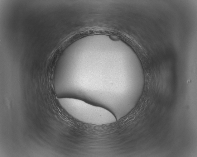 X0000084021207200702160817