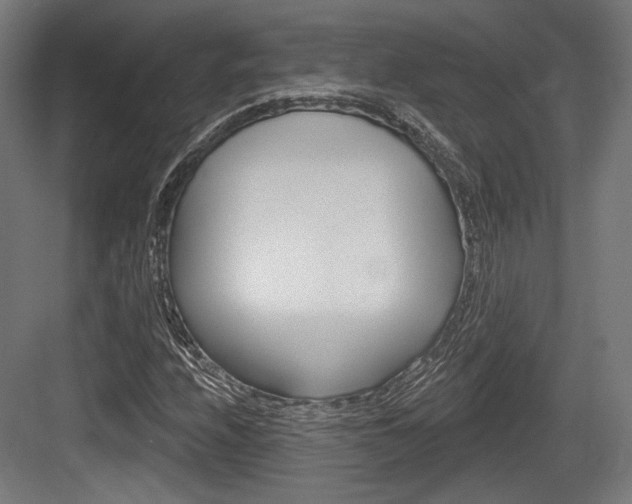 X0000084021208200702160817