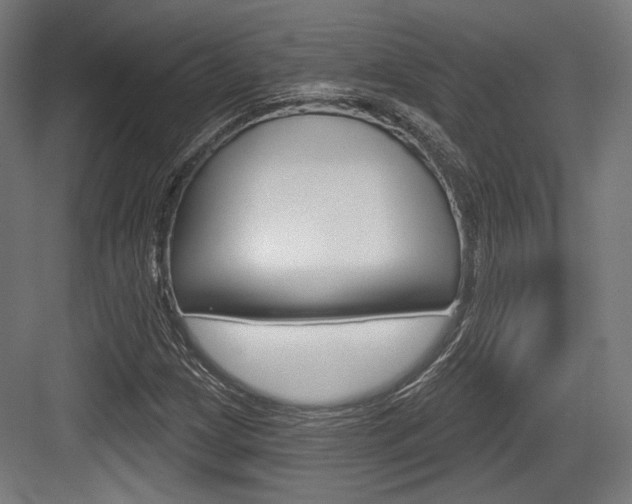 X0000084021209200702160817