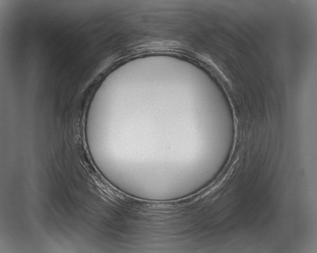 X0000084021211200702160817