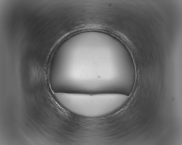 X0000084021212200702160817
