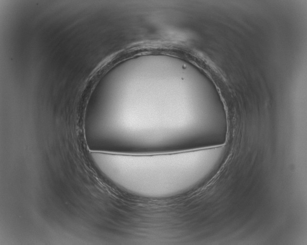 X0000084021213200702160817