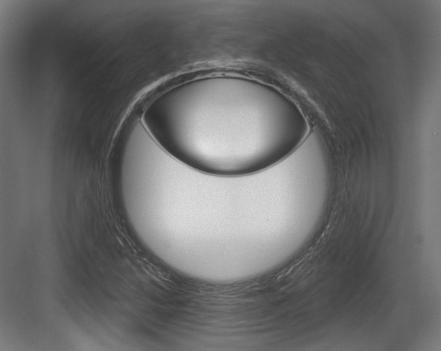 X0000084021214200702160817