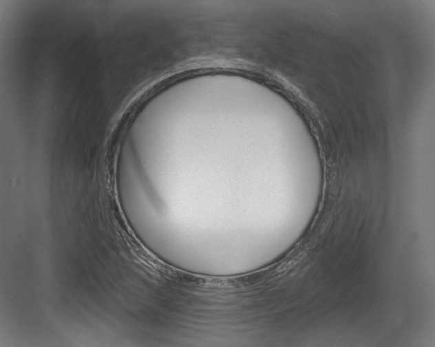 X0000084021215200702160817
