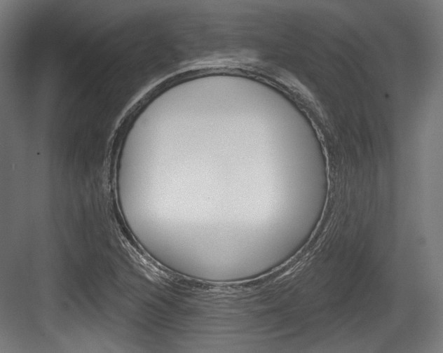 X0000084021216200702160817