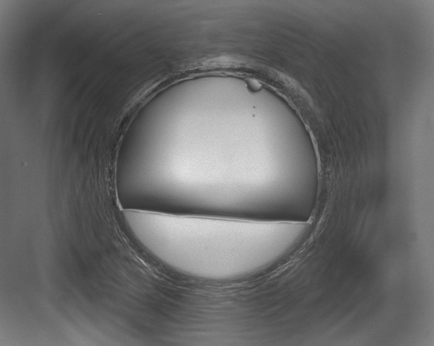 X0000084021217200702160817
