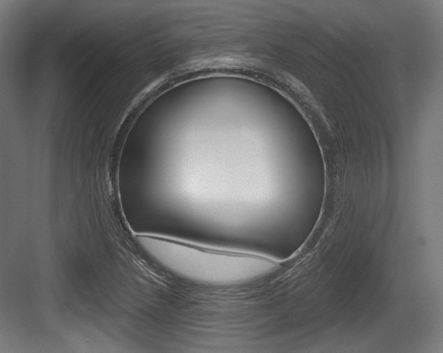 X0000084021218200702160818