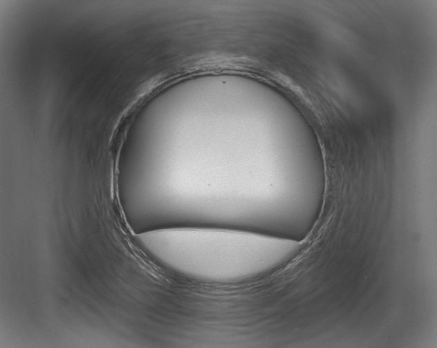 X0000084021219200702160818