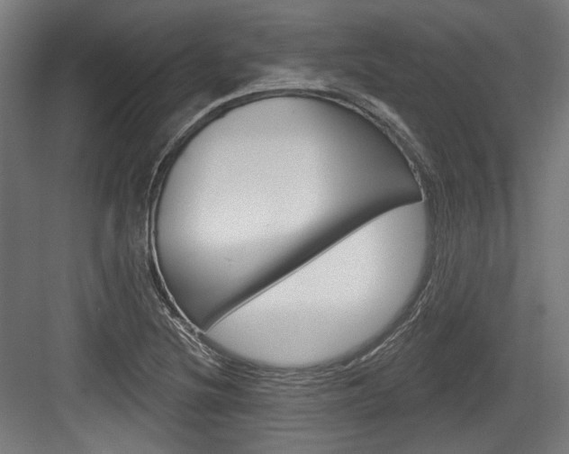 X0000084021220200702160818