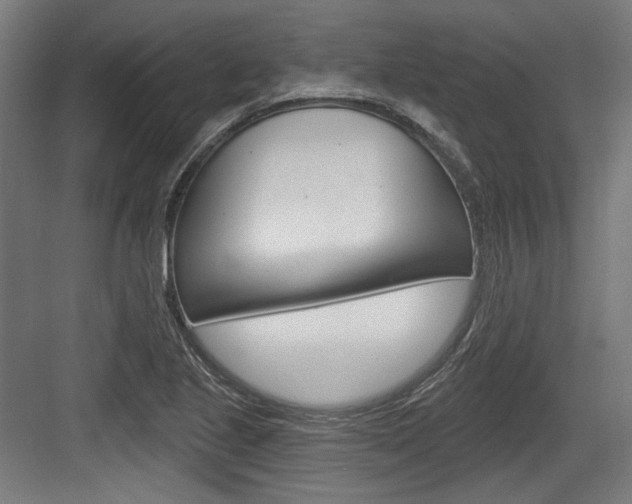 X0000084021221200702160818