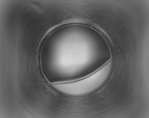 X0000084021222200702160818