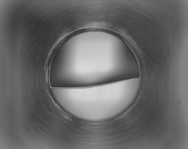 X0000084021224200702160818