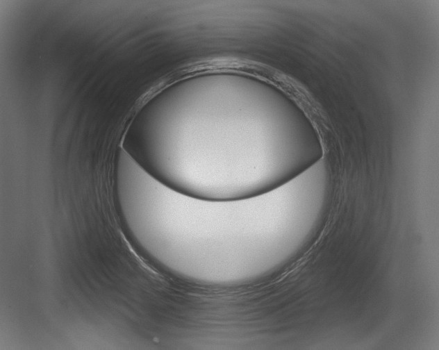 X0000084021225200702160818