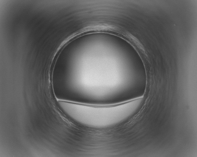 X0000084021226200702160818