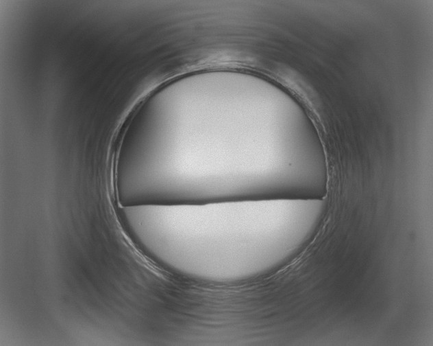 X0000084021227200702160818