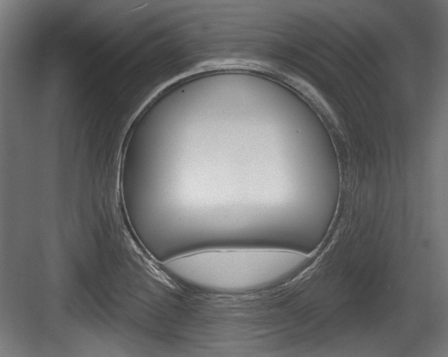 X0000084021228200702160818