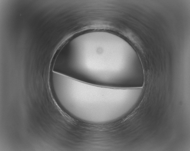 X0000084021229200702160818