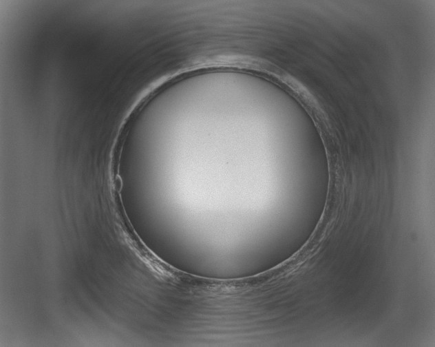 X0000084021230200702160818