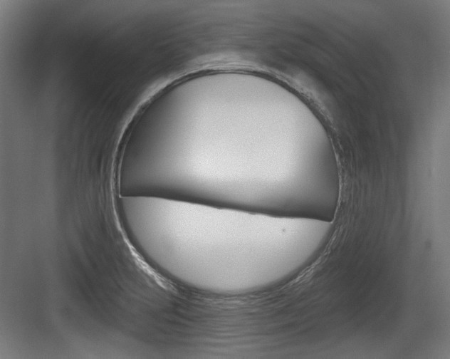 X0000084021231200702160818