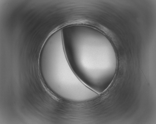 X0000084021234200702160818