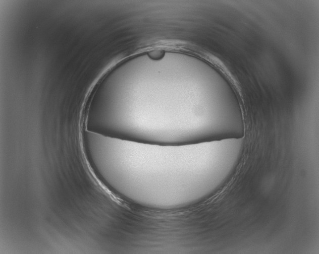 X0000084021235200702160818