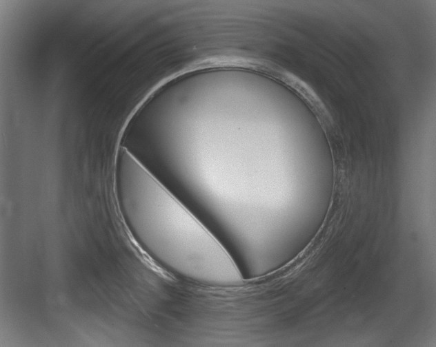 X0000084021236200702160818