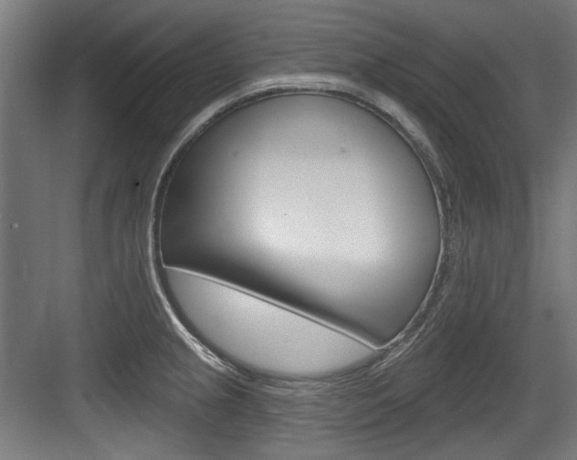 X0000084021237200702160818