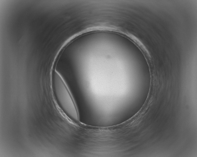 X0000084021238200702160818