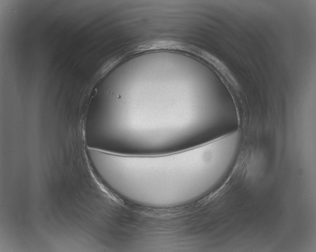X0000084021241200702160818