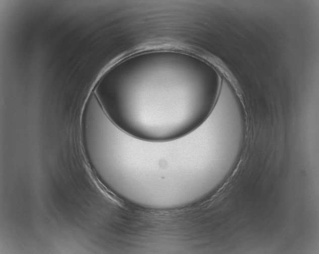 X0000084021242200702160818