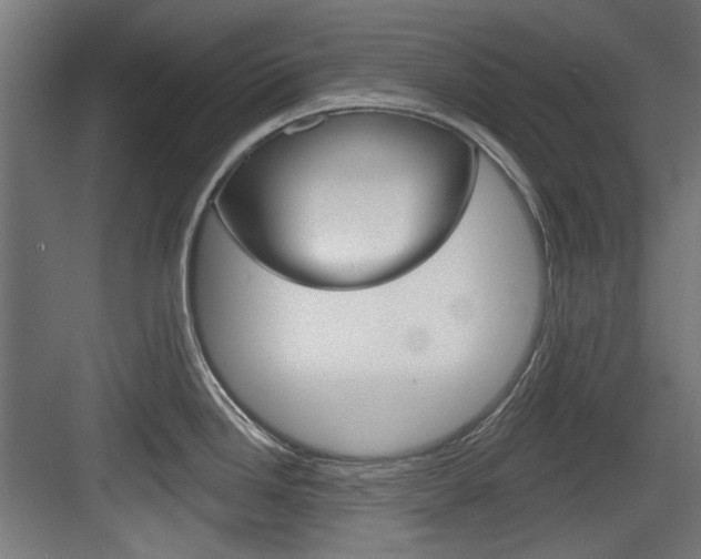 X0000084021246200702160818