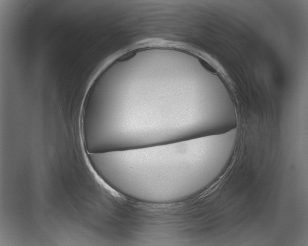 X0000084021247200702160818