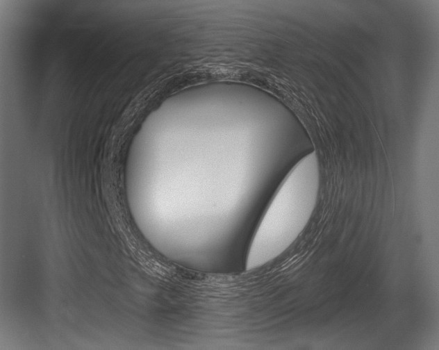 X0000084021249200702160817