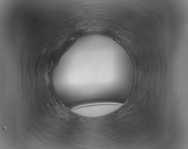 X0000084021250200702160817