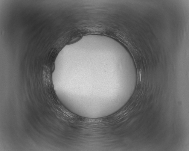 X0000084021251200702160817