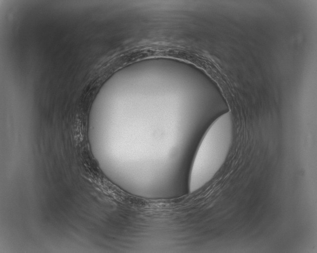 X0000084021253200702160817