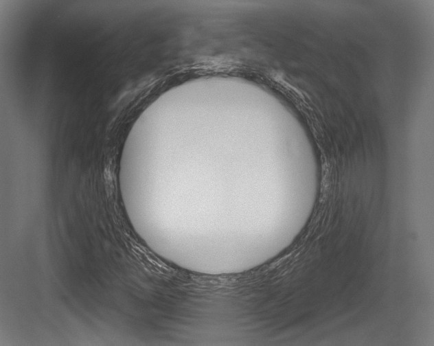 X0000084021254200702160817