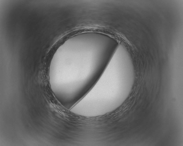 X0000084021256200702160817