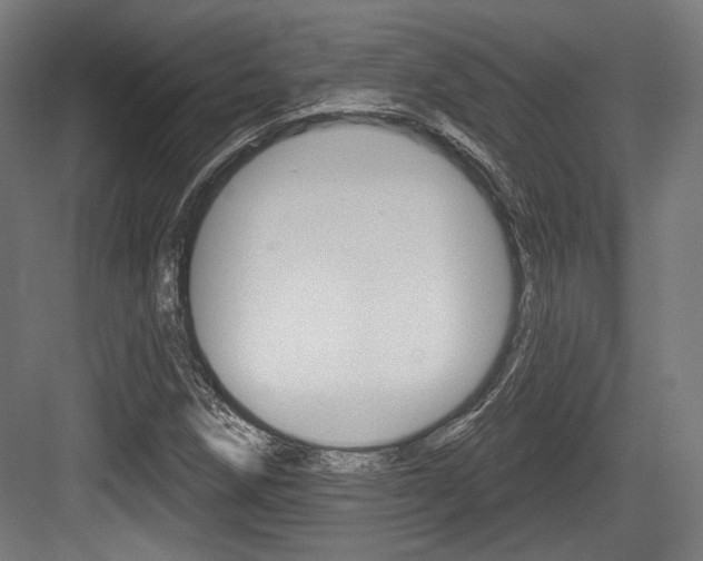 X0000084021258200702160817