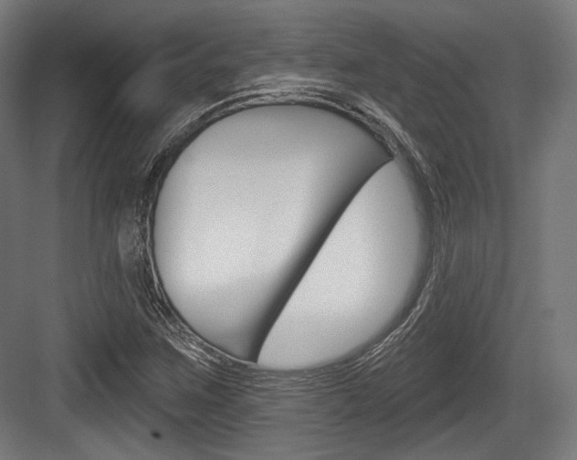 X0000084021259200702160817