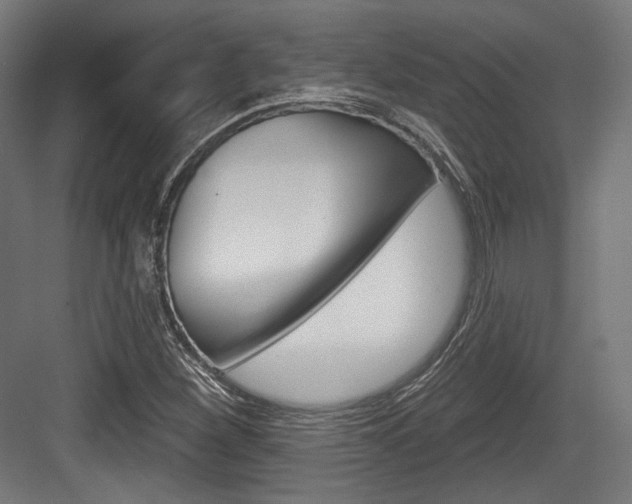 X0000084021260200702160817