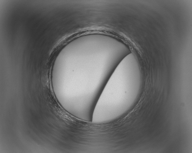 X0000084021262200702160817
