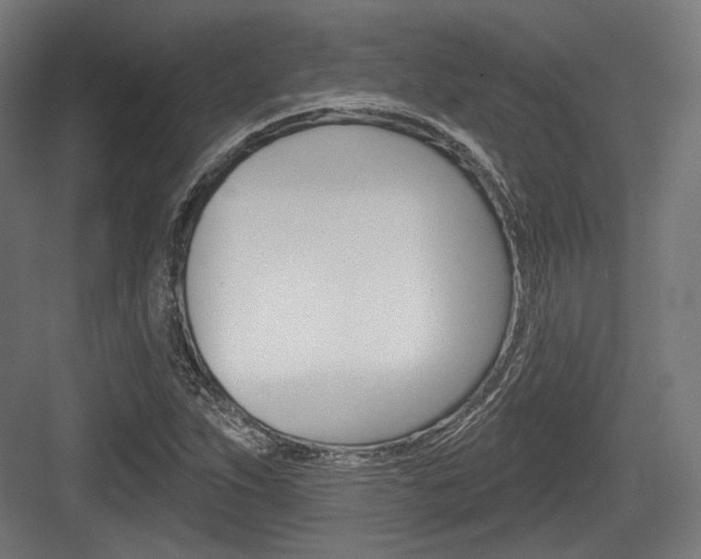 X0000084021263200702160817