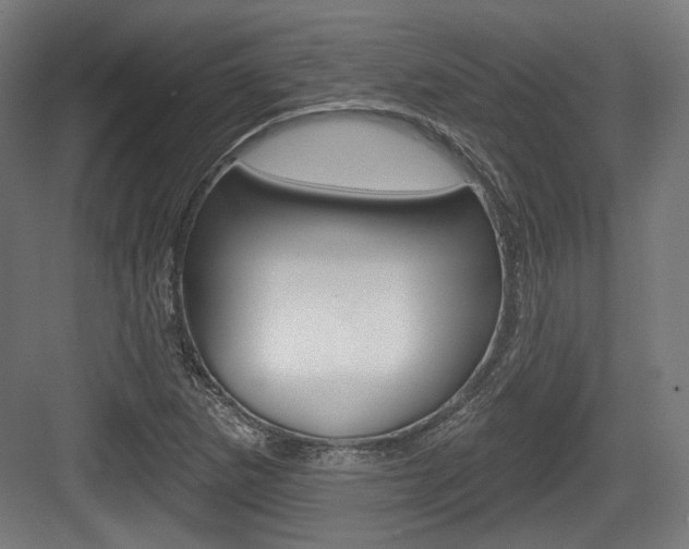 X0000084021265200702160817