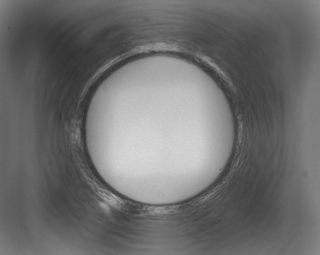 X0000084021266200702160817