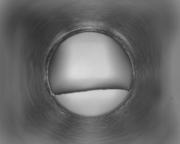 X0000084021267200702160817