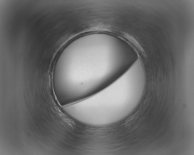 X0000084021268200702160817