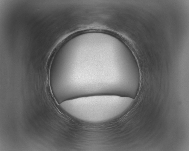 X0000084021271200702160817