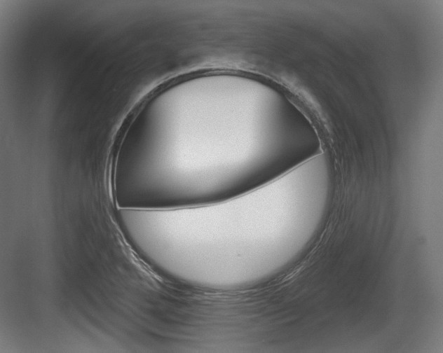 X0000084021272200702160817