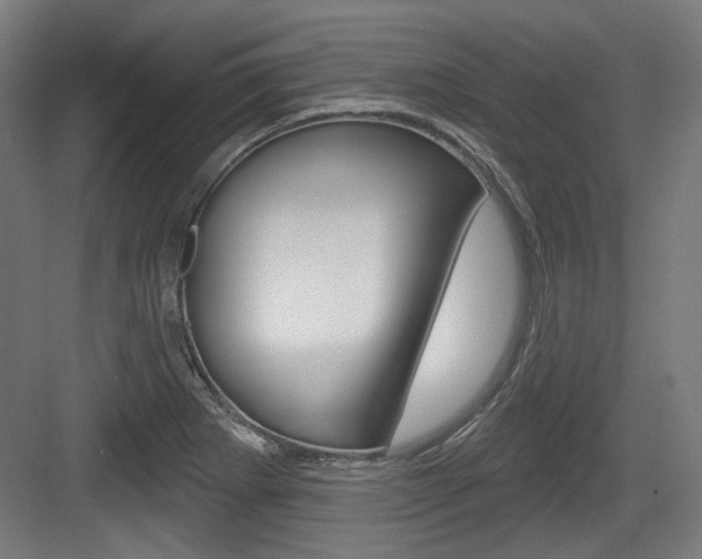 X0000084021273200702160817